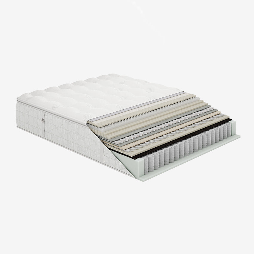Aireloom | Preferred Collection - Luxetop - M2+ Plush Mattress
