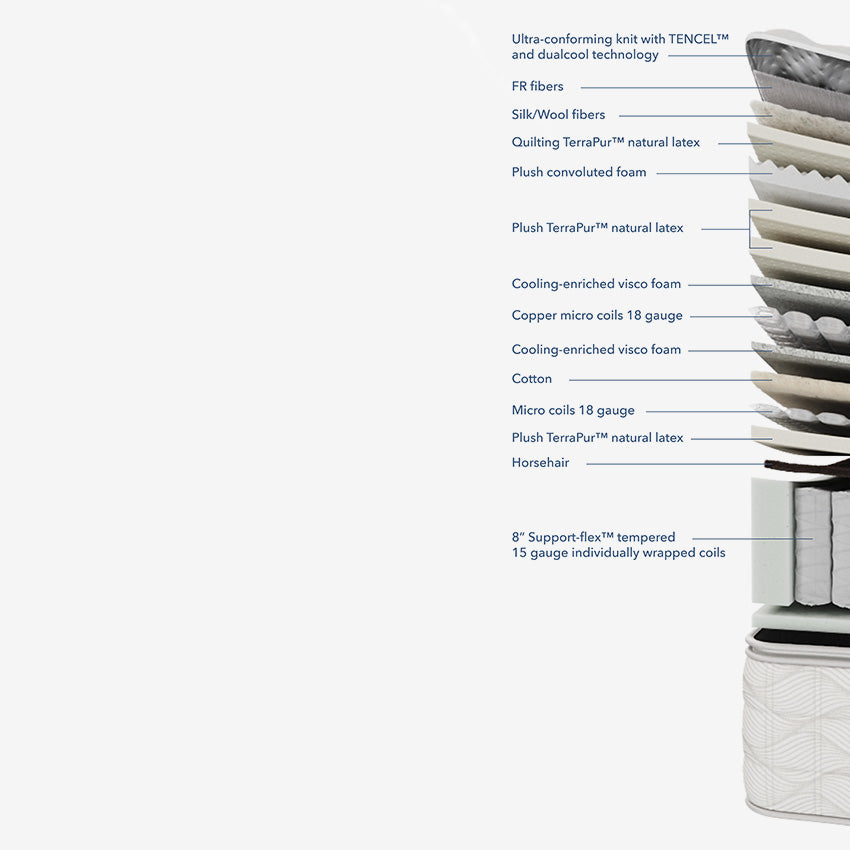 Aireloom | Preferred Collection - Luxetop - M2+ Plush Mattress