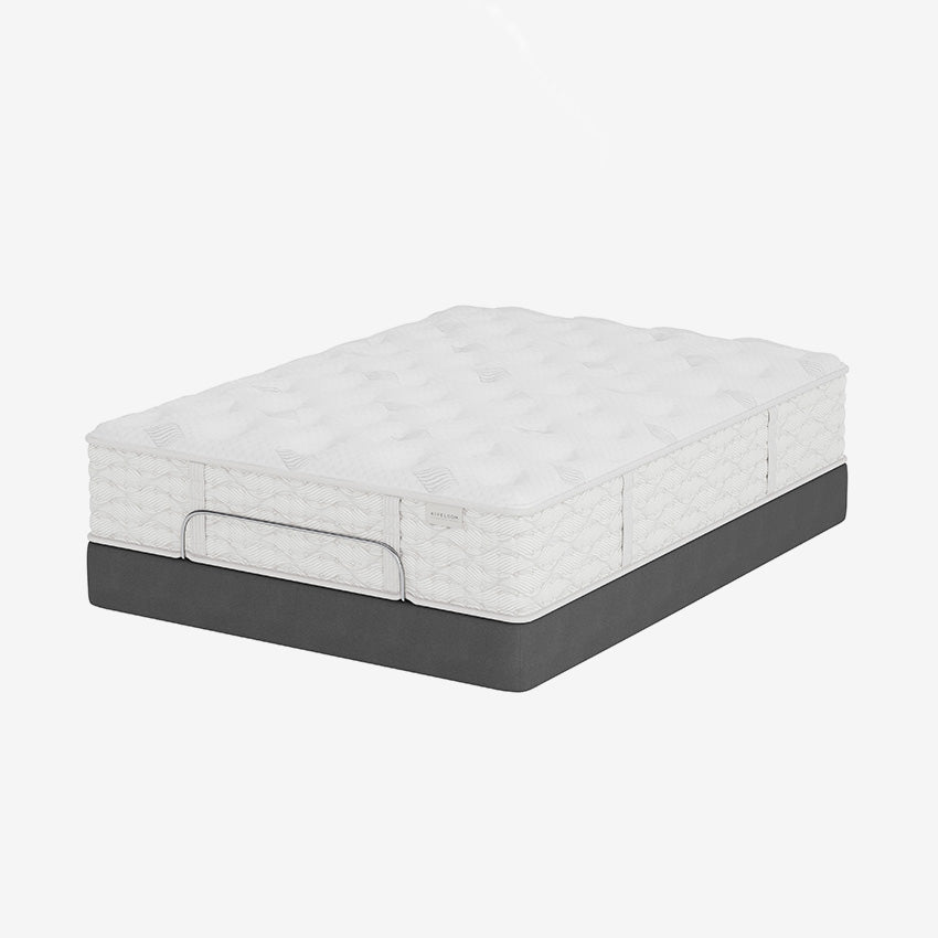 Aireloom | Preferred Collection - Streamline - Luxury Firm Mattress