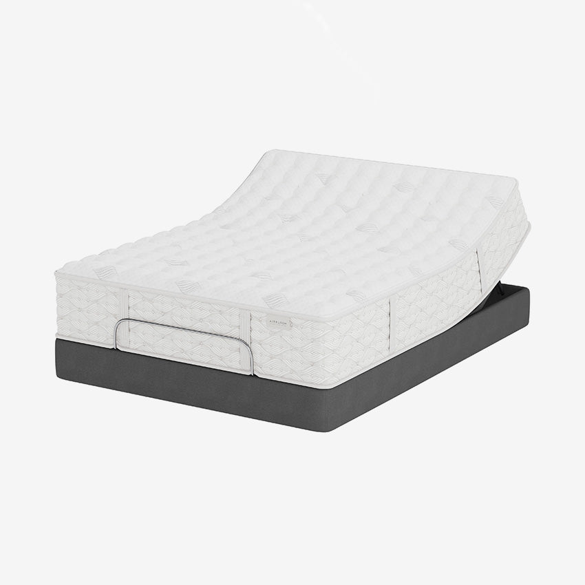 Aireloom | Preferred Collection - Tight Top - Luxury Firm Mattress