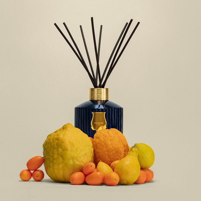 Trudon | Diffuseur Reggio (Mandarine)