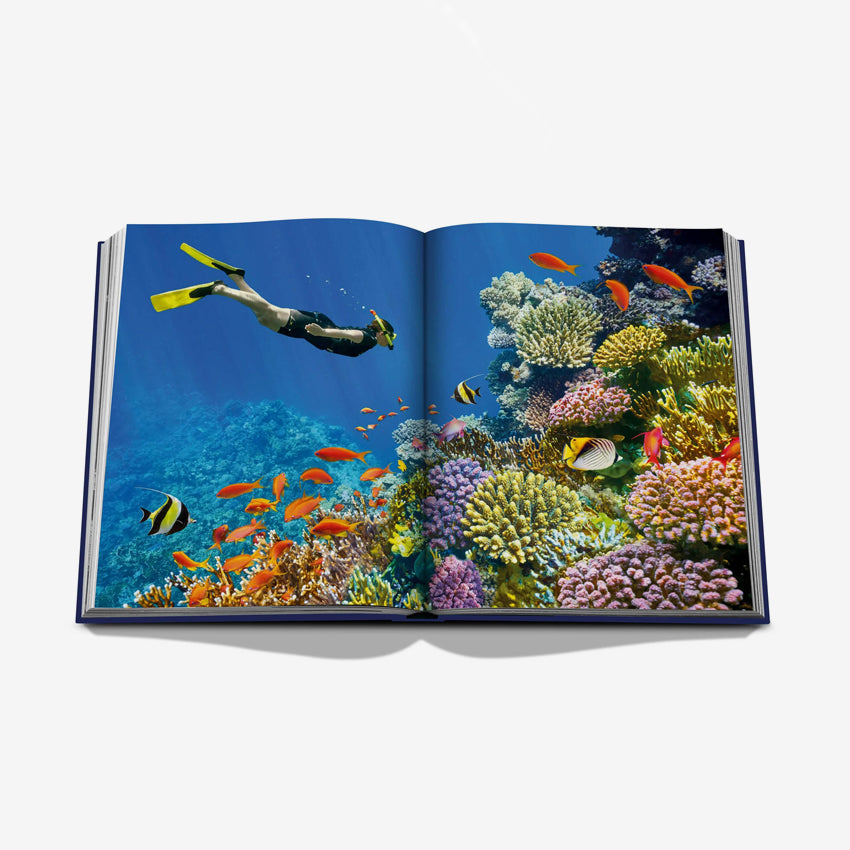 Assouline | Ocean Wanderlust