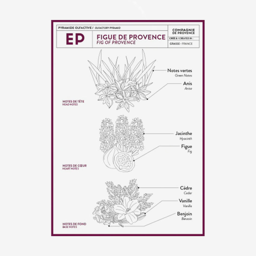 Compagnie de Provence | Fig Of Provence Marseille Liquid Soap
