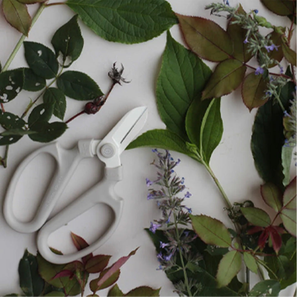 The Floral Society | Coupe-fleurs